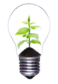 Bigstock-Light-bulb-with-a-growing-plan-26575604.jpg