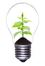 Bigstock-Light-bulb-with-a-growing-plan-26575604.jpg